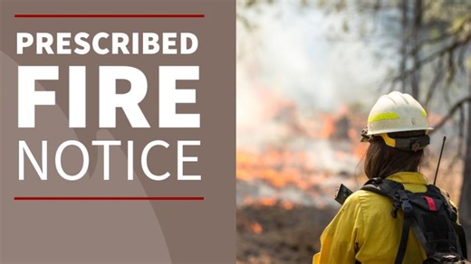 Smoke visible as prescribed burn continues in Bankhead National Forest