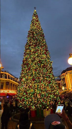 ✨ Disneyland’s First Christmas Tree Lighting of the 2025 Holiday Season! 🎄