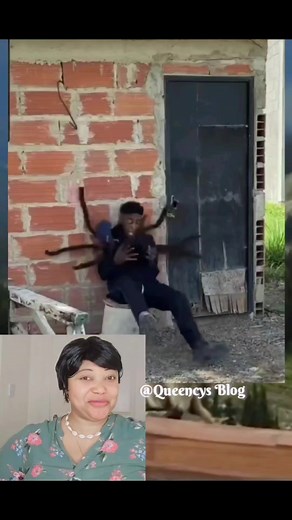 Spider 🕷 🕸 🕷 🕸 🕷 🕸 prank 🤣 😆 😄 😂 😑 | Nature Beauty