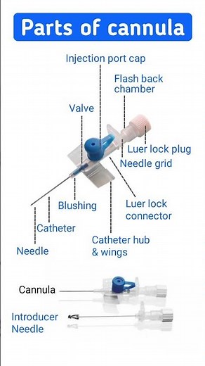 Parts of Cannula Explained | IV Cannula Parts Name & Function #cannula #ivcannula #medicaleducation