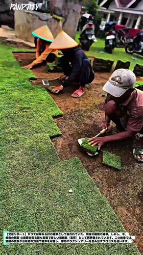 見ていて気持ちいい！村の「雑草」がいかにして都市の豪邸庭園を彩る「芸術」へと進化するのか、その全貌を公開#farm#farmlife #rural#villagelife #grass #sod