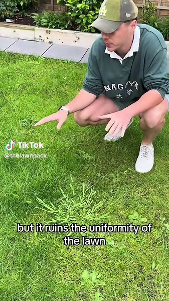 Identifying and Managing Weed Grasses in Your Lawn