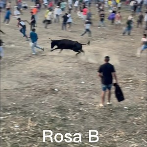 Recorte san Pelayo | Rosa Maria Beltrán Torres