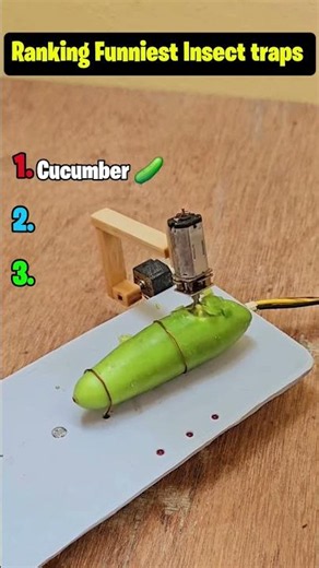 Ranking Funniest Insect traps! 😂🦎