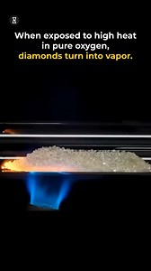 Diamonds are forever… or are they? Watch what happens when a diamond burns in oxygen! 😱💨 #YouCurious #scienceexperiment #chemistry #physics #sciencefacts #chemicalreaction #chemistrylovers #scienceiscool #science #didyouknow #FunFacts #MindBlown #Wow #CrazyScience #AmazingExperiments #LearnSomethingNew #staycurious #explorewithyoucurious #curiosityunlocked #discoverwithyoucurious | YouCurious?