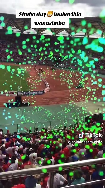 Simba Day Celebration: A Day for Fans and Friends