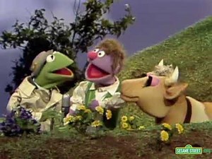 Classic Sesame Street News Flash Jack And Jill Nursrey Rhyme