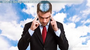 Short Term Memory | Causes & Examples