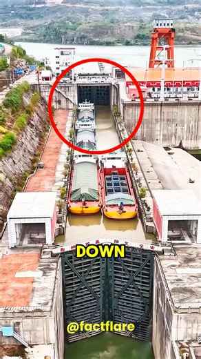 Why This Ship Enters a Closed Gate 😳