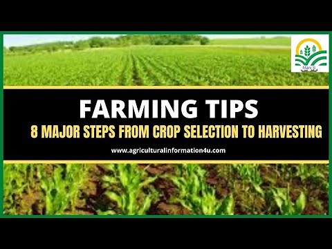Farming Tips for beginners : Eight Major Steps from Crop Selection to Harvesting