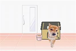 Pokemon Ruby - Nintendo Game Boy Advance - Games Database