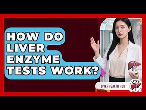 How Do Liver Enzyme Tests Work? - Liver Health Hub