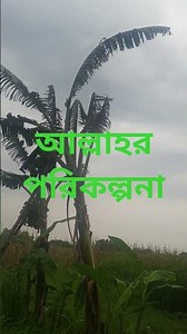 আল্লাহর পরিকল্পনা সম্পর্কে সুন্দর একটি ওয়াজ