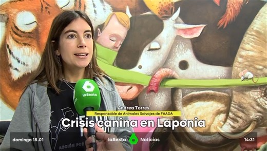 FAADA | ¡Llevamos la realidad de los perros de trineo ante los ojos de millones de personas! 🎥 @lasexta se hace eco de la importantísima... | Instagram