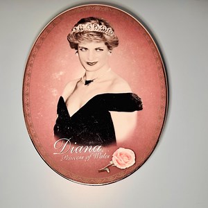 Princess Diana Plate 1998 Bradford Exchange People's Princess - Etsy