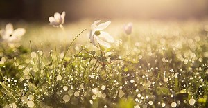 Poll: Does spring start in February or March? | BreakingNews