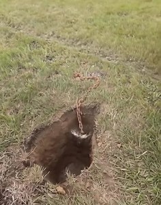 While digging to replace our mailbox, we discovered this metal object around 8 inches deep — it’s got a chain, but we have no clue what it is. Thoughts?👇 | Mixx Craft