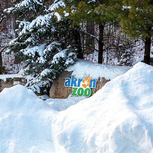 Akron Zoo to remain closed through Wednesday as temperatures plummet