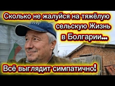 Болгария. Ёлки да палки на моём участке. Как они выдержали первых морозов.