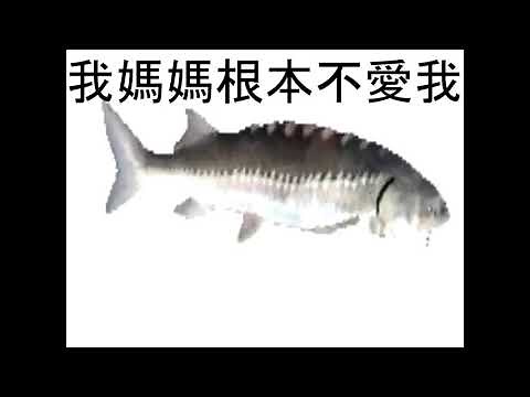SPINNING FISH 4K 737474838364 FPS WITH LYRICS CHING CHENG HANJI BEST QUALITY