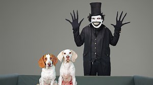 These Dogs Meet The Babadook In Real Life...and then the REAL Fun Begins! | Maymo the Dog