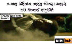 292K views · 1.5K reactions |  | 4K - Memehub | Facebook