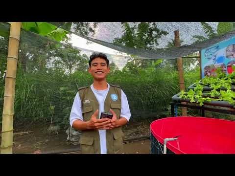 KKN Kelompok 9 - Budidaya Nila Penguat Kemandirian Ekonomi