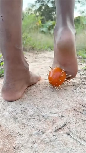 Survival Skills: SMART idea and USEFUL with single mom #bushcraft #camping #outdoors