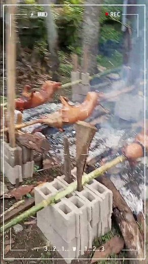 Crispy Whole Roasted 3 Pigs #lechon #crispy #pig #roastedpig #food #cooking