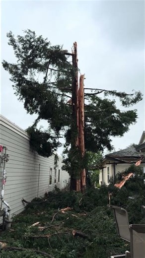Lightning strikes redwood tree, causes damage in Oakmont