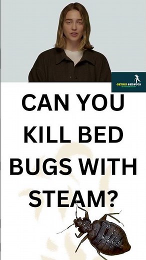 HOW TO KILL BED BUGS WITH STEAM #fact #bug #bedbuginfestation #shorts