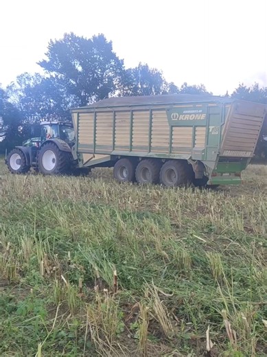 #agrarservicemv #fendt #krone #mais #osten