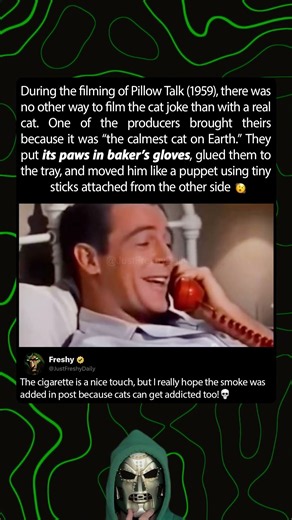 Smoking cat in Pillow Talk (1959)