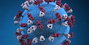 What's a virus, anyway? Part 1: The bare-bones basics