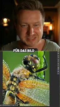 Improve your macro photography: How to perfectly focus and sharpness 🔍📸