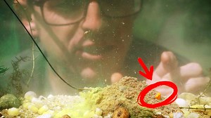 95K views · 1.5K reactions | WOW! 慄‍♂️MASTERCLASS MAGIC! Spooner...