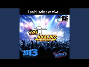 Coyuca De Catalan (Zapateado)