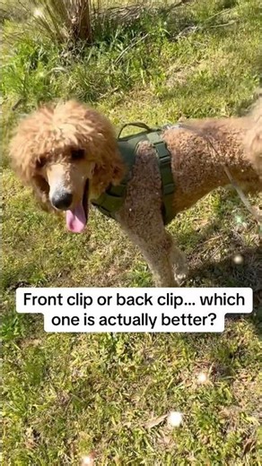 Where do you attach the least and why?