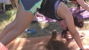 Want to try a new workout class? Goat yoga has made its way to the L.A. area with some cuddly kids ready to help you master your downward dog. http://abc7.la/2qdlBuU | ABC7