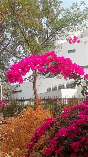 How To Take Stunning Nature Photos