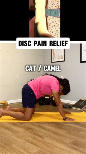 ✅Disc Pain Relief Exercises | Improve Back Pain, Mobility & Spine Stability