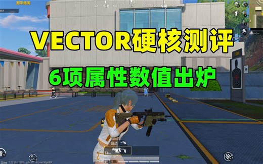 Vector的性能如何？配件应该怎么选？原来是刚枪神器