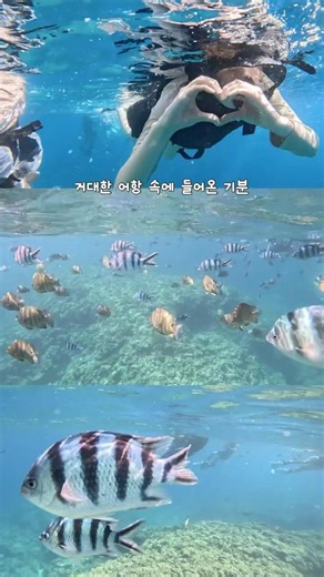 오키나와 여행 총정리 🏝️🩵
