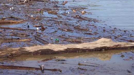 What's in Douglas Lake?