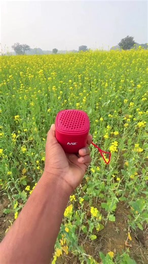 JBL Speaker Durability Test: Sound Quality and Resilience