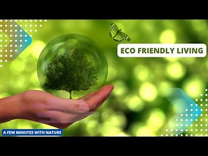 Simple Changes for a Sustainable Future | Eco friendly living