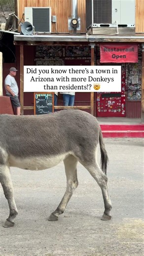 📝 Save this for your next Route 66 roadtrip! One of the most unforgettable stops on our Route 66