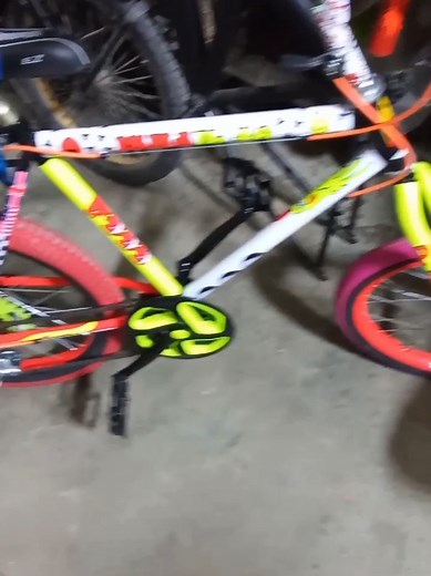 Pakistani Cycle Wheeling in Multan