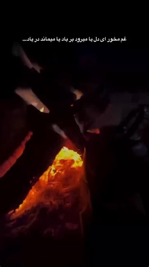 🖤 on Instagram: "This viral video captures a man repeatedly attempting to flee a pursuing Belgian Malinois through a kennel gate, creating a comedic "infinity loop" as the dog's relentless energy traps him in a cycle of evasion, filmed at what appears to be a dog training facility. , an account specialising in absurd, decontextualised human moments, the clip amassed over 8 million views and 34,000 likes within weeks, highlighting the breed's renowned stamina—Belgian Malinois can sustain high-in