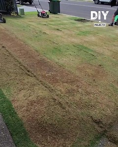 So much attention to detail in this lawn mowing! | Do It Yourself